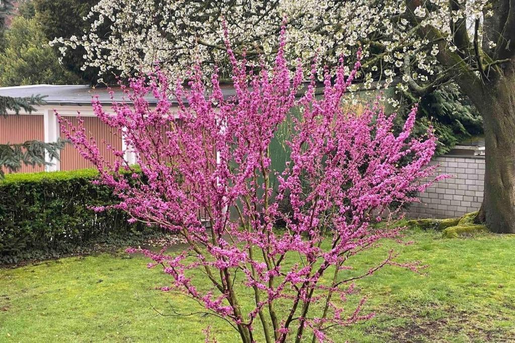 Zentral In Buer,Ruhig,Eg,Garten,Terrasse,Garage Gelsenkirchen Exteriér fotografie